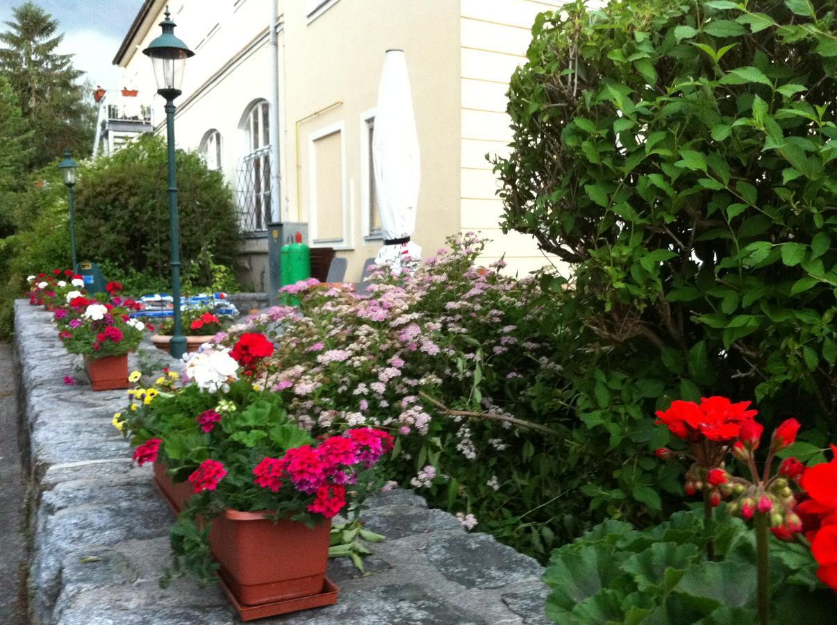 Babenbergerhof Hotel Ybbs an der Donau Exterior photo